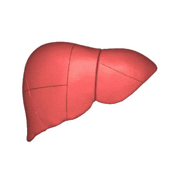 Natural Liver Treatment